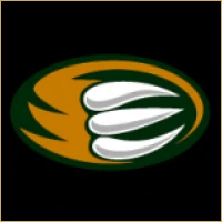 Pioneer Investment Banking Logo
