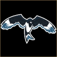 Apex Financial Advisory Logo