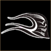 Infinity Unlisted Shares Logo