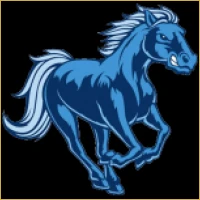 Vidya IPO Consulting Logo