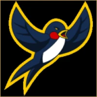 Pioneer Equities & Stocks Logo