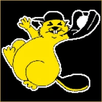 Fortune IPO Consulting Logo