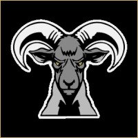 Navrang Equities & Stocks Logo