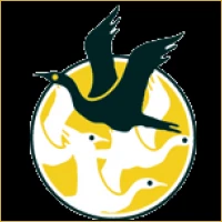 Arya Equities & Stocks Logo