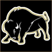 Lakshmi IPO Consulting Logo