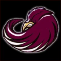 Navneet Equities & Stocks Logo