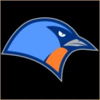 Vidya IPO Consulting Logo