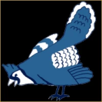Daksh Capital Advisors Logo