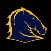 Apex Equities & Stocks Logo