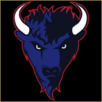 Vedic Capital Advisors Logo