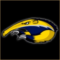 Varun Capital Advisors Logo