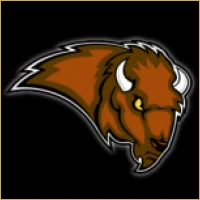 Navneet IPO Consulting Logo