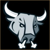 Bluechip Capital Advisors Logo